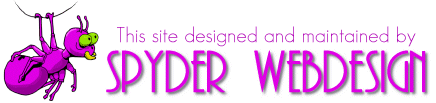Spyder Webdesign